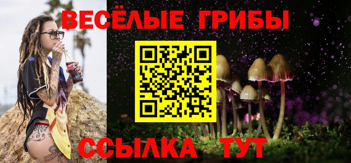 Новороссийск  Псилоцибиновые грибы Psilocybine cubensis  Вход с VPN 
